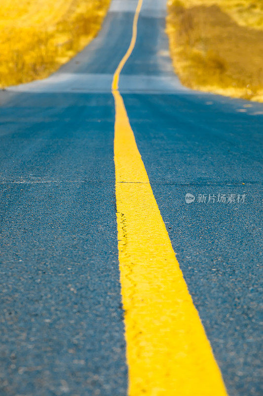 乡村景观中的道路