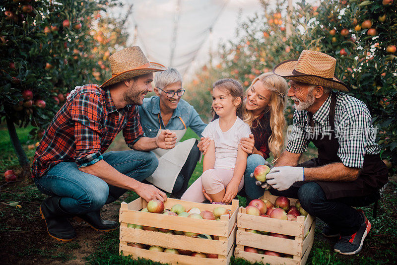 苹果田里的农民家庭
