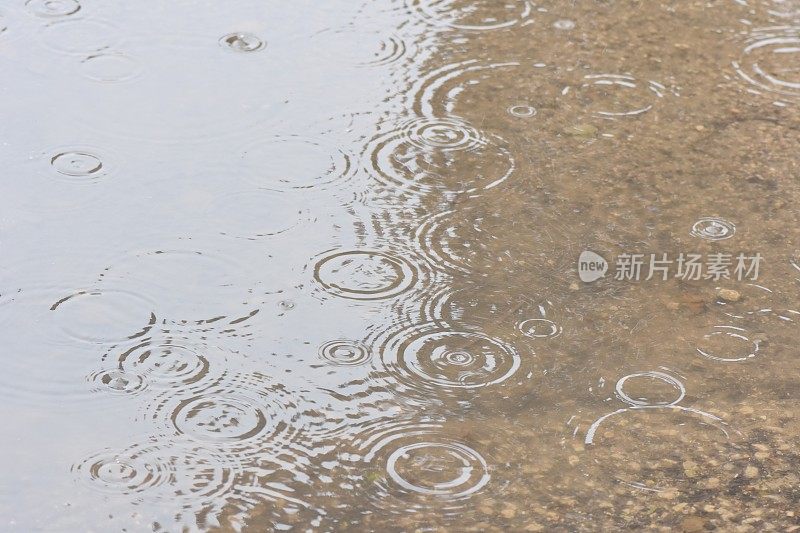 池塘里的雨滴