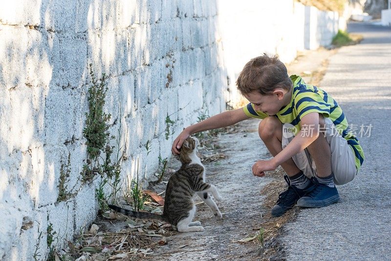 一个孩子在乡村的路上爱抚着一只猫。