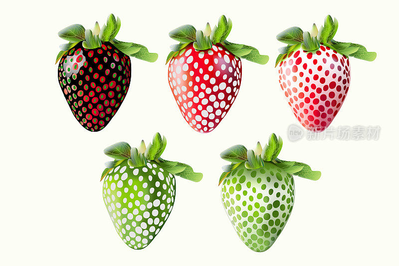 基因工程，黑，绿，白，红草莓。