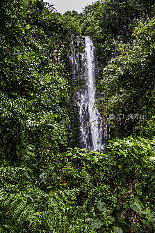瓦拉瀑布，哈娜，毛伊岛