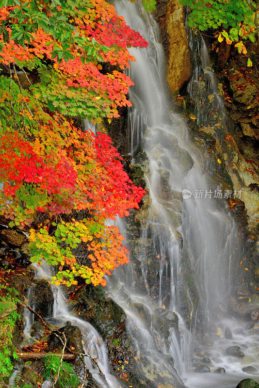 瀑布和秋色的中野百山公园，黑石，青森县