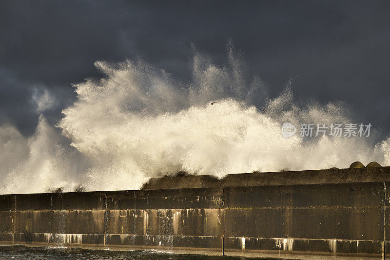 海鸥飞过大浪