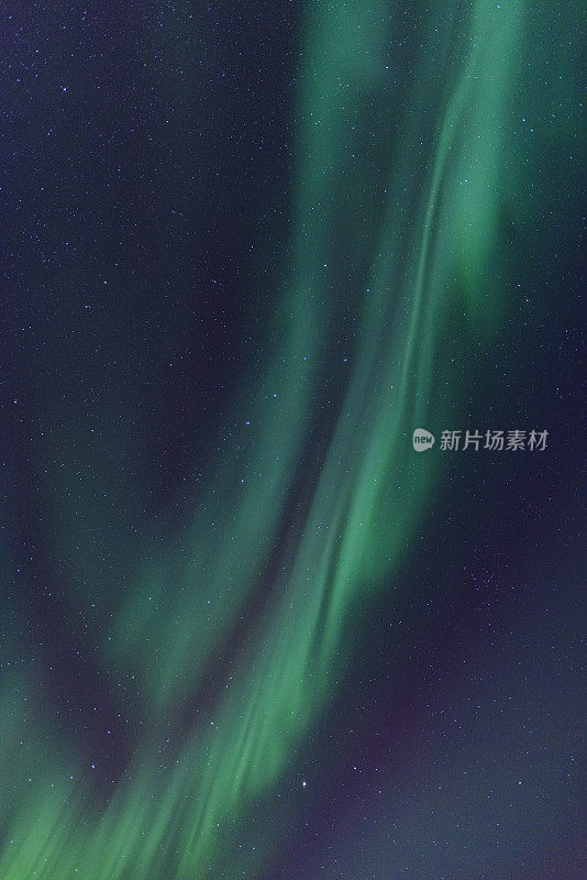 北极光，北极光或北极光在夜空中在罗浮敦群岛在挪威北部