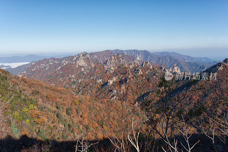 秋公勇岭在雪山山