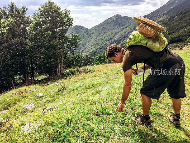 年轻的徒步旅行者在草地上采集鲜花