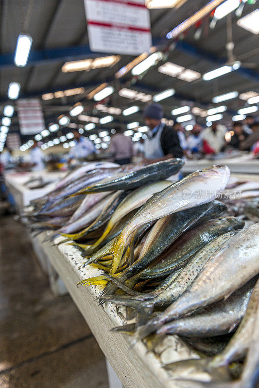 一堆鱼在迪拜的德拉市场