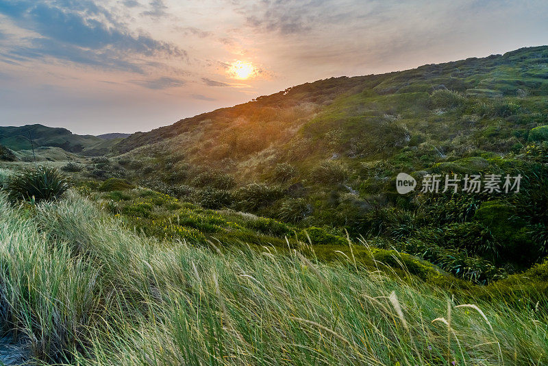 新西兰南岛尼尔森塔斯曼区普蓬加沃拉瑞基海滩的日出