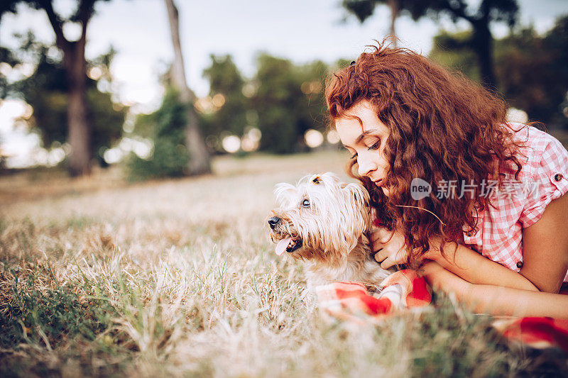 美丽的年轻女孩和她的约克夏梗犬