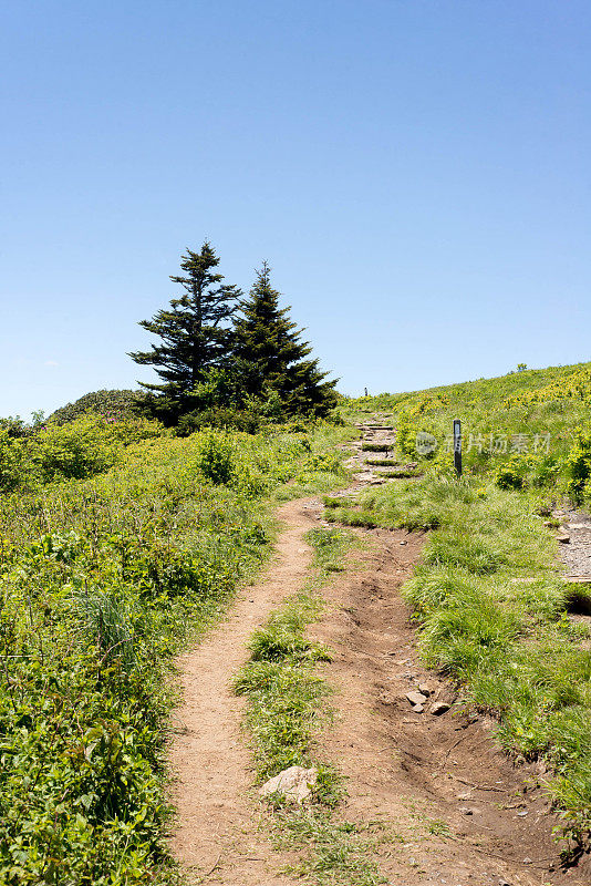 通往山顶的土路，上面有阿巴拉契亚山脉的路标