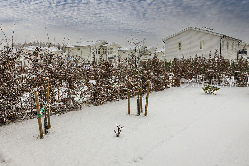 私人区域的冬季景观。树和灌木丛被雪覆盖着。美丽的白色别墅的背景。