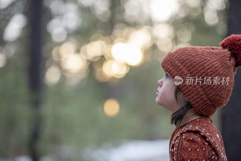 并非所有流浪的人都会迷路