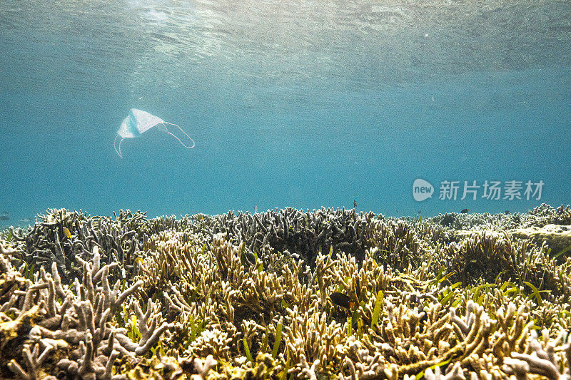 在清澈的蓝色太平洋珊瑚礁上，面罩污染