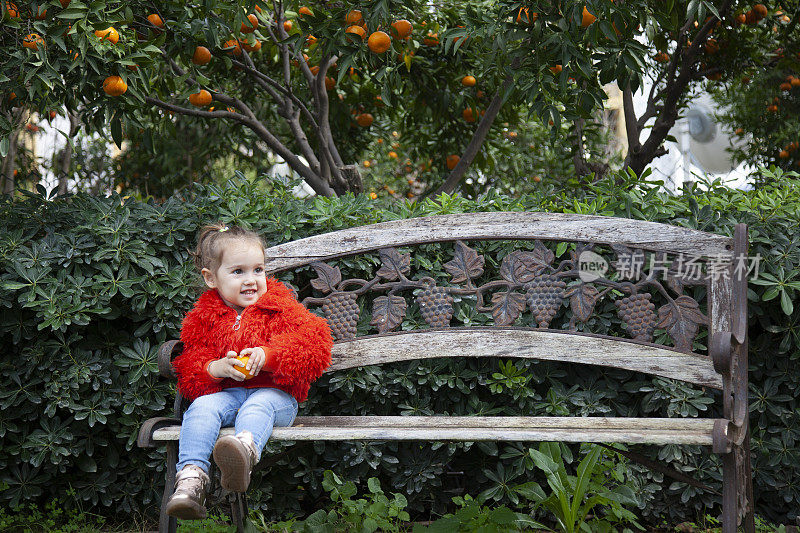 坐着一个小女孩在树上摘橘子