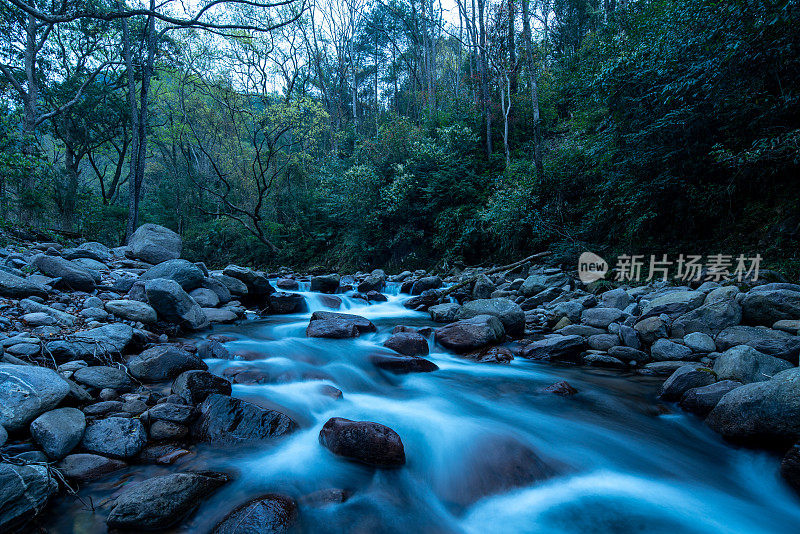 大自然的森林之美。溪心青苔林。山流。