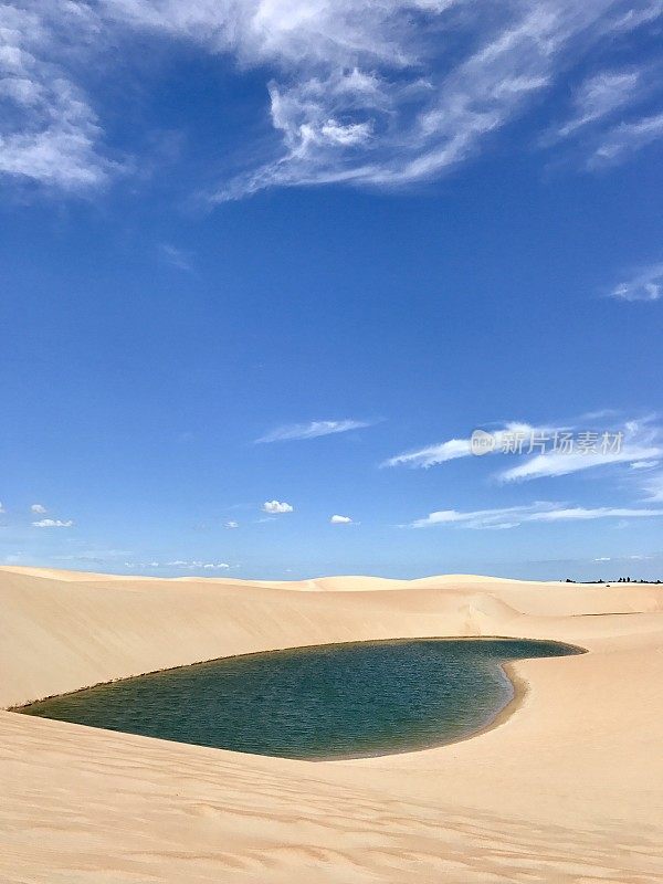 绿松石绿色，翠绿的雨水湖泻湖在一个金黄的沙丘在Jericoacoara，巴西