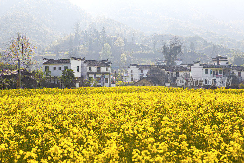 中国江西省婺源的乡村景观。