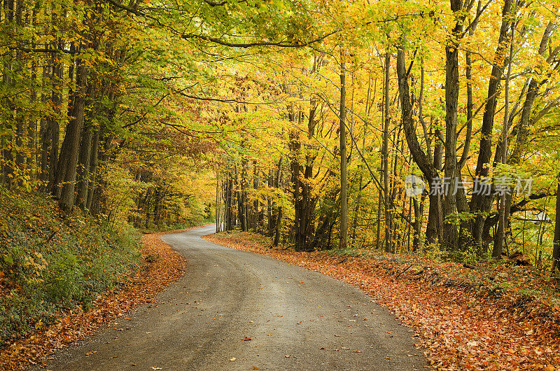 蜿蜒的乡村道路与秋天的颜色