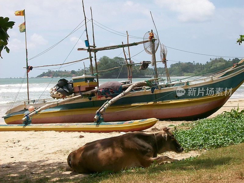 去斯里兰卡的渔船