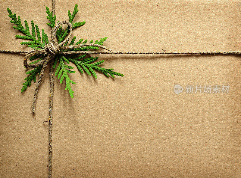 硬纸板绑着绿树枝和绳子。