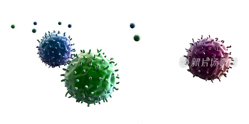 淋巴细胞和病毒