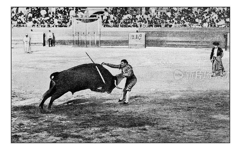 爱好和运动的古董点印照片:斗牛