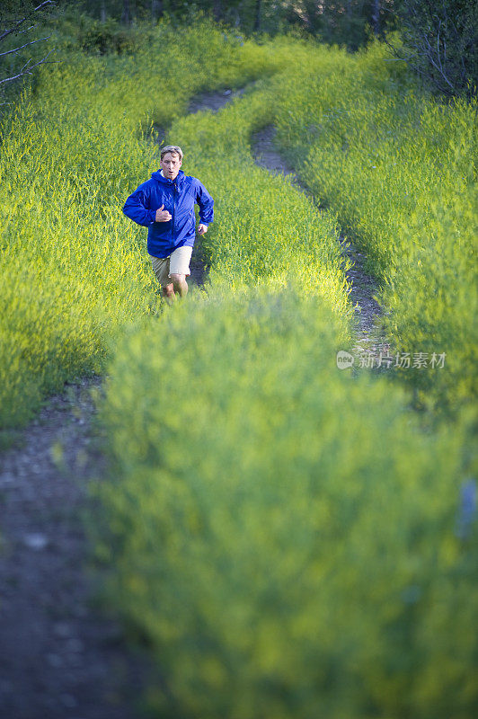 在科罗拉多州，一名男子在一条长满野花的路上奔跑