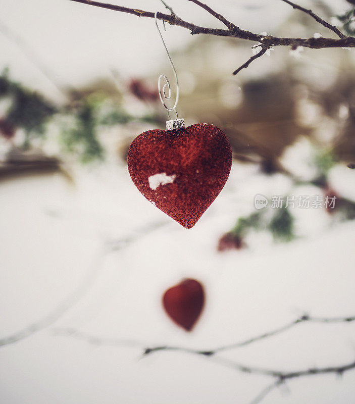 心饰挂在白雪覆盖的树上