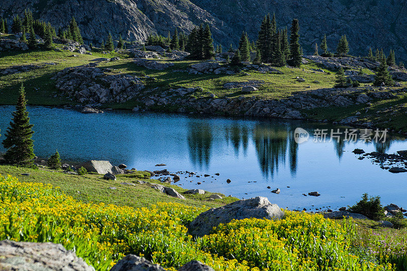 夏季高山草甸与高山湖泊和野花