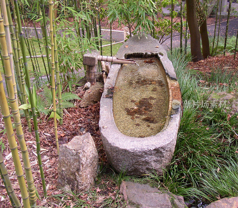 竹石盆
