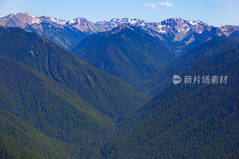 风景优美的山谷从飓风岭，奥林匹克国家公园