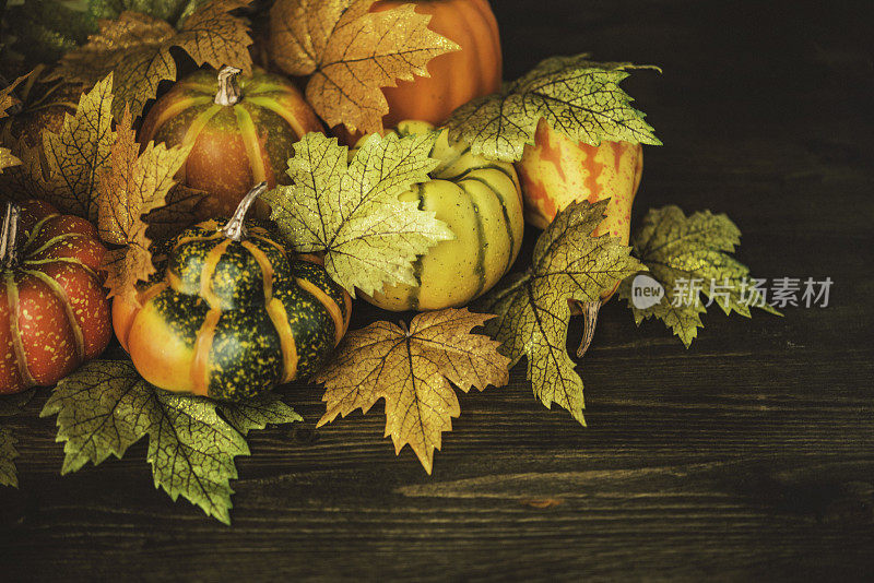 秋天和感恩节的装饰。南瓜和落叶。