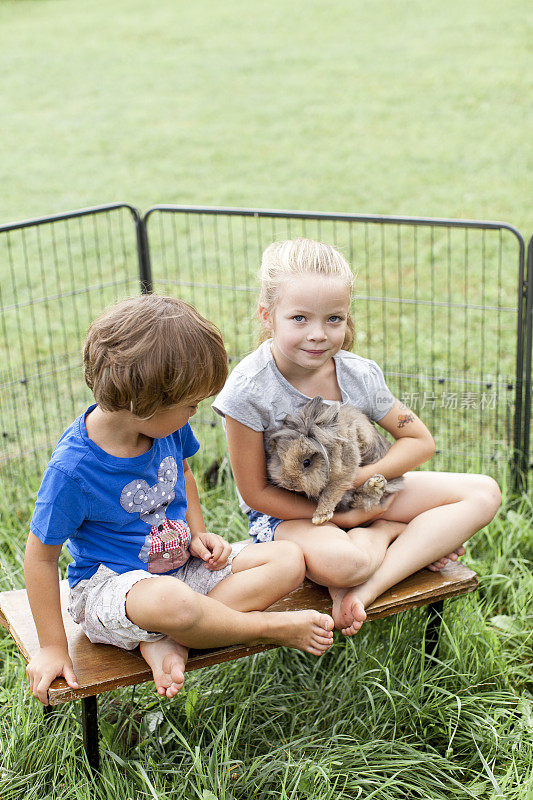 孩子们跟兔子玩