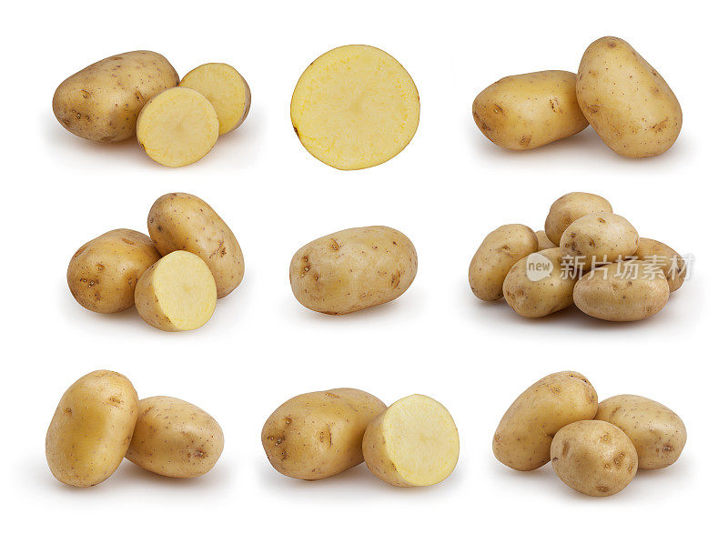 一组马铃薯孤立在白色背景与剪切路径