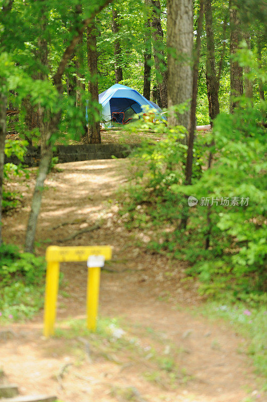 在树木繁茂的营地搭帐篷