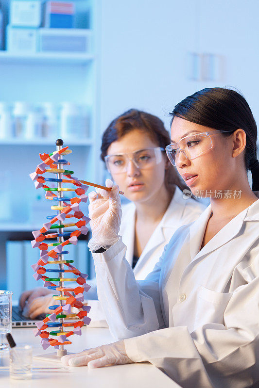 两名女学生在学校研究实验室研究DNA模型