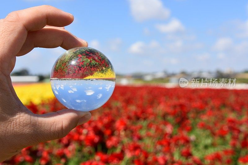 花田和水晶球