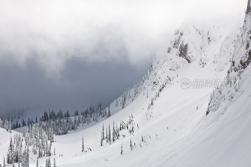 不列颠哥伦比亚省山脉的冬季雪崩坡