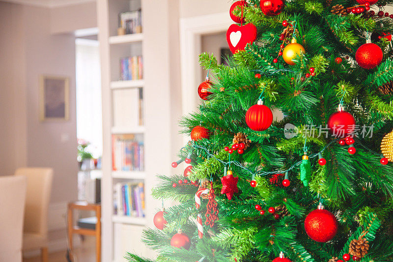 客厅里圣诞树的特写