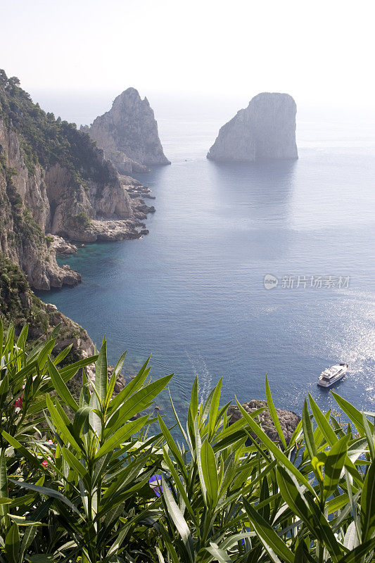 岩石海岸和植物