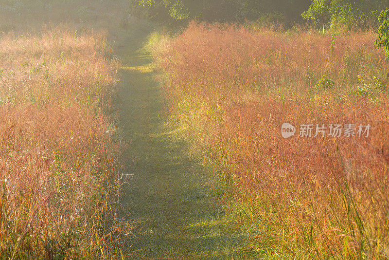 福吉谷的徒步旅行路线