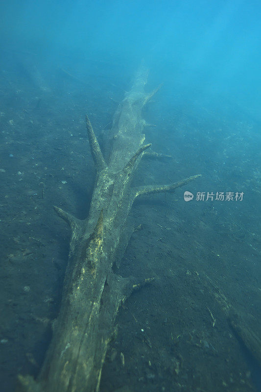 大水下日志