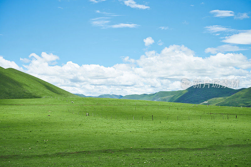 山上的草地