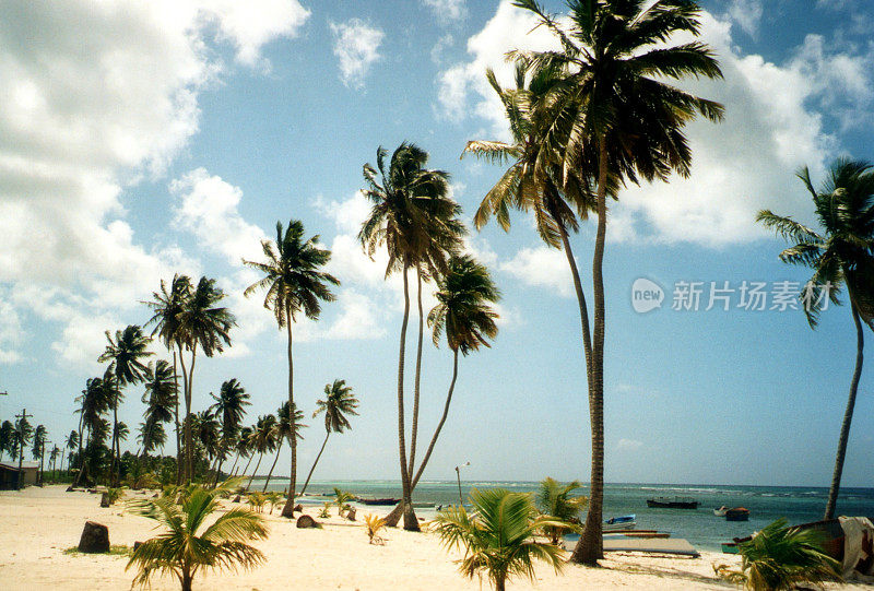 多米尼加共和国的绍纳岛