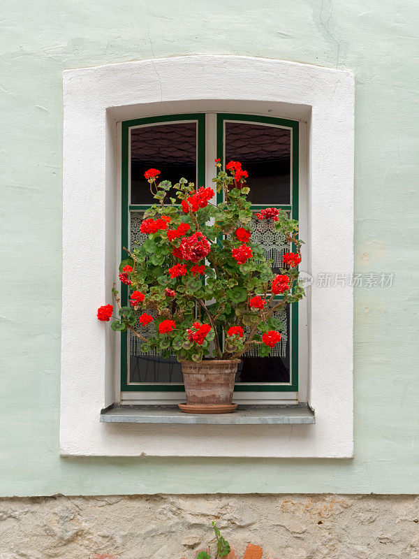 德国巴伐利亚的老式窗户上放着红色天竺葵