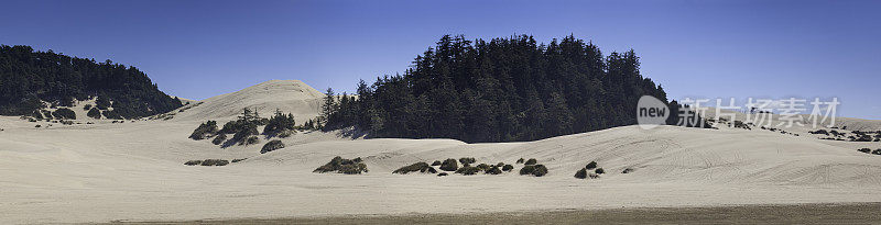 沙丘全景