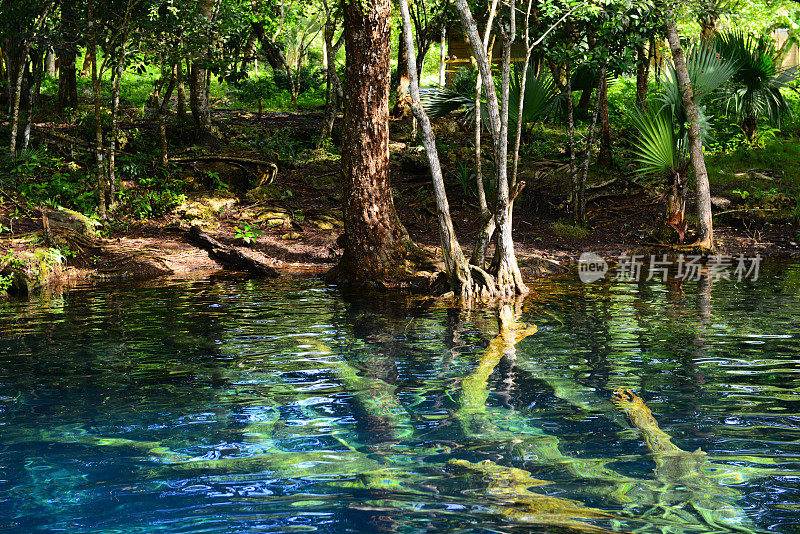 热带丛林中的美丽湖泊