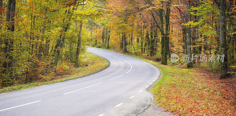 秋天的道路