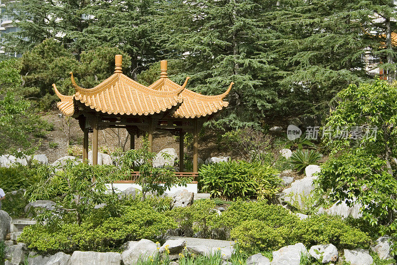 中式花园与藤架